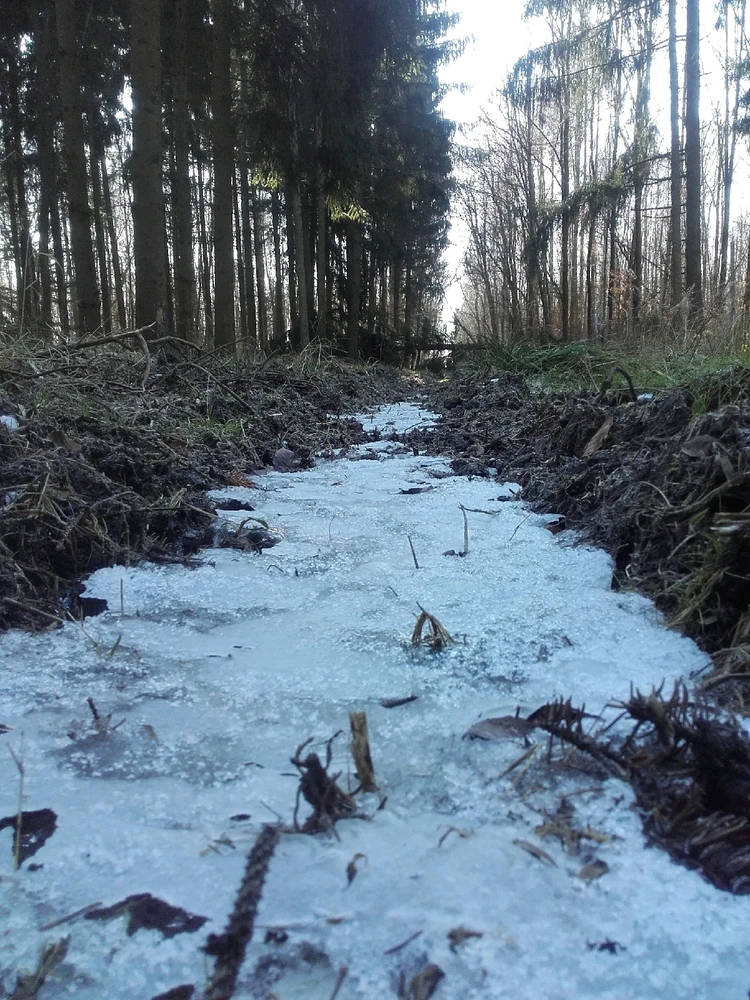 Bild hochgeladen von Felix