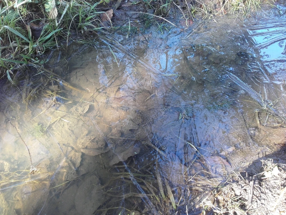 Bild hochgeladen von Felix