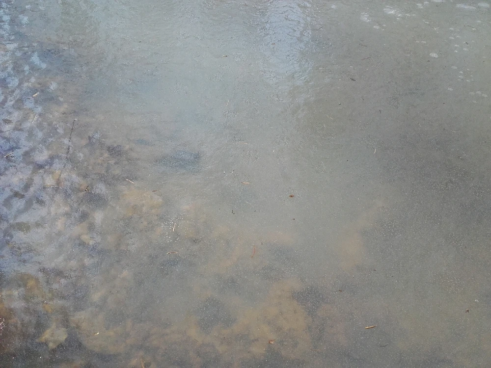 Bild hochgeladen von Felix