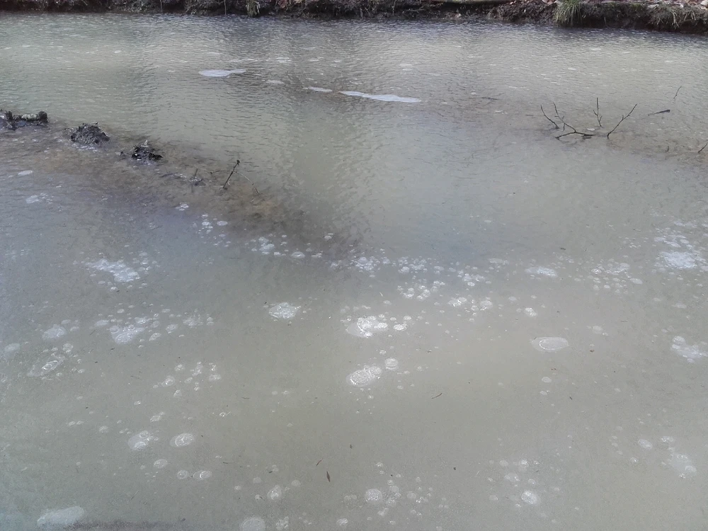 Bild hochgeladen von Felix