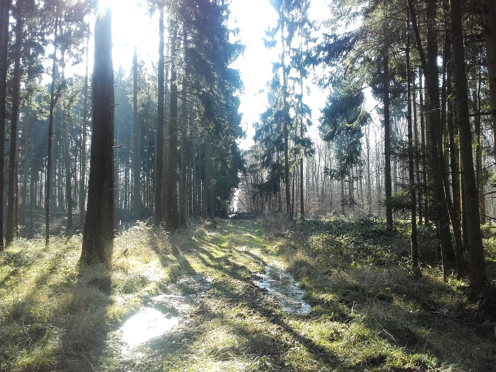 Bild hochgeladen von Felix