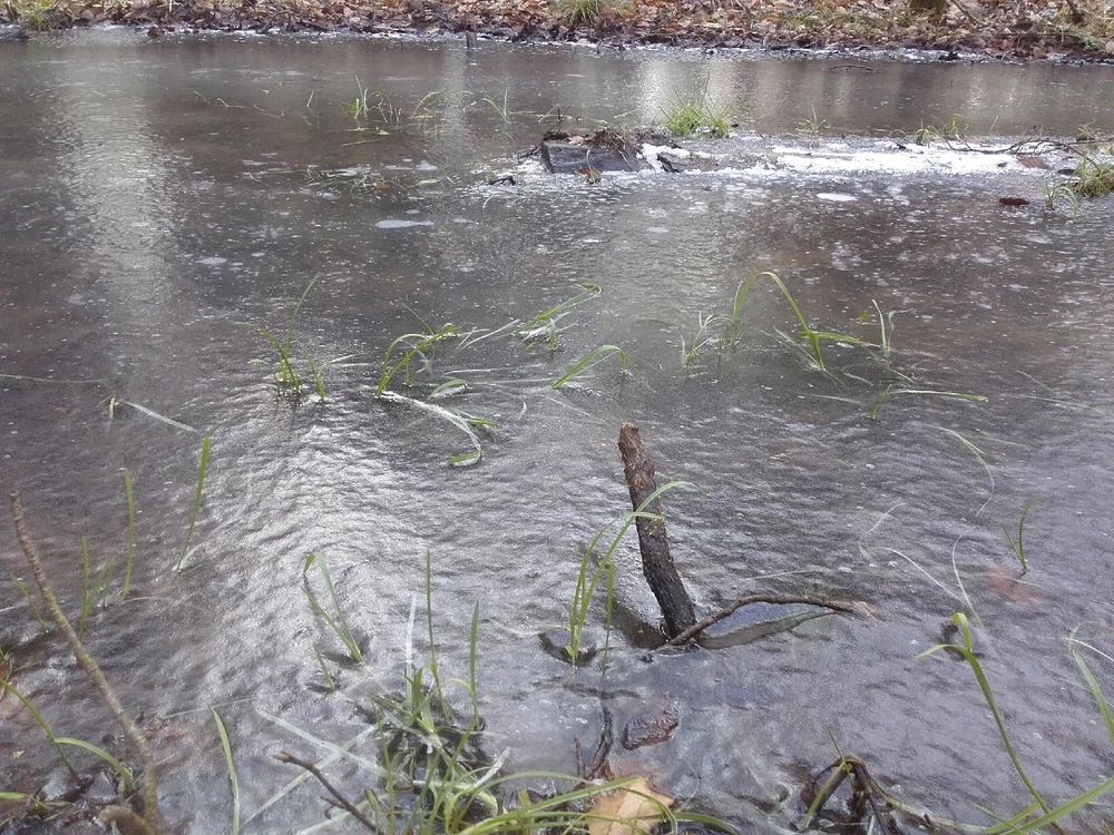 Bild hochgeladen von Felix