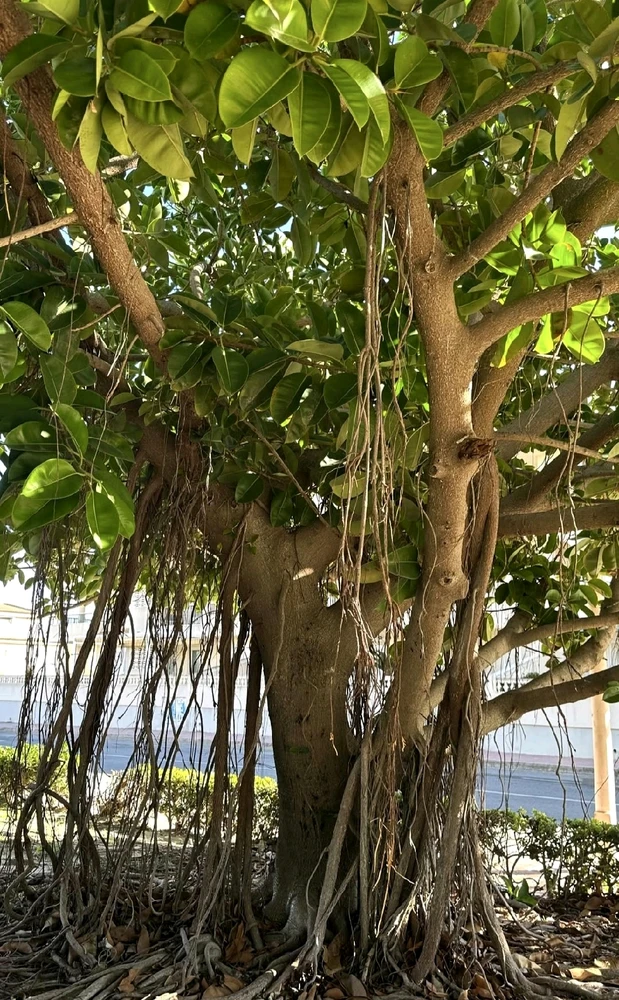 GIF uploaded by Bebe🧜🏻♀️🌖🌠