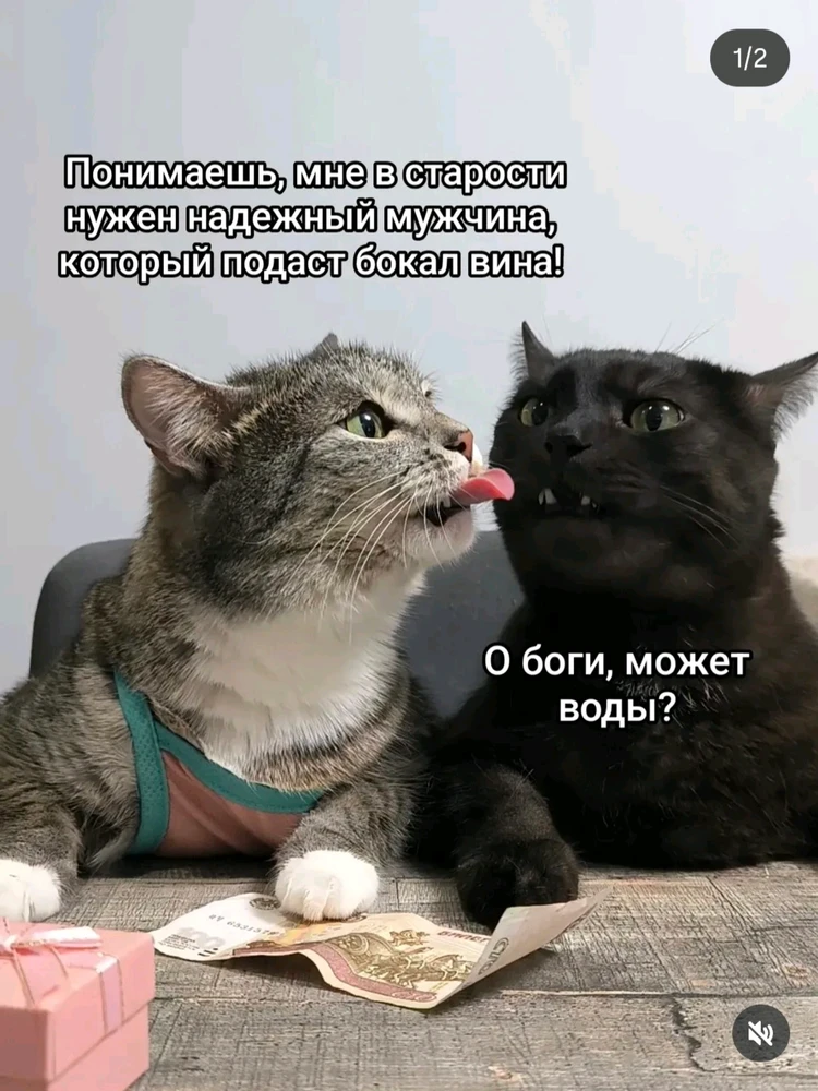 Фото загрузил Аnna