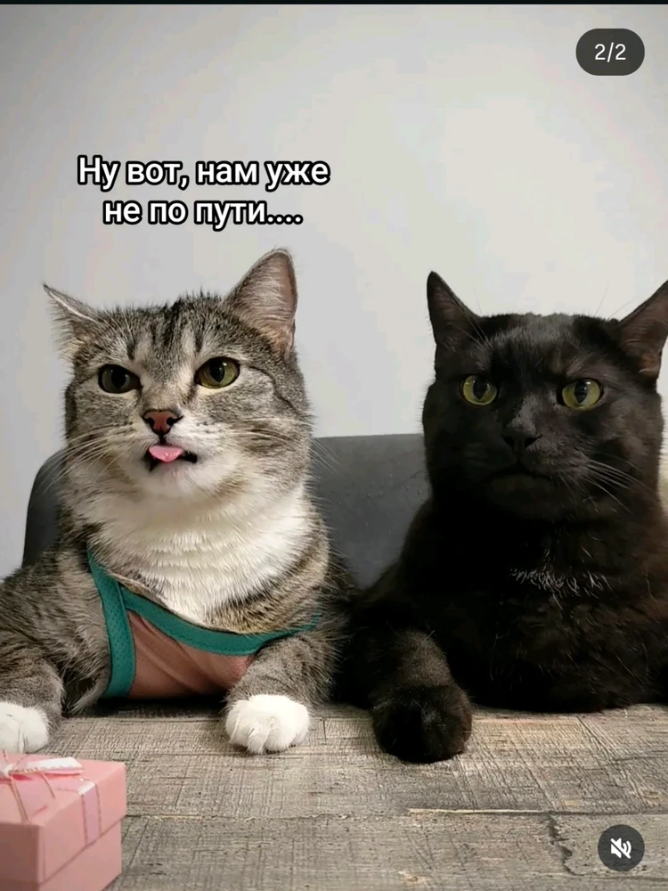 Фото загрузил Аnna