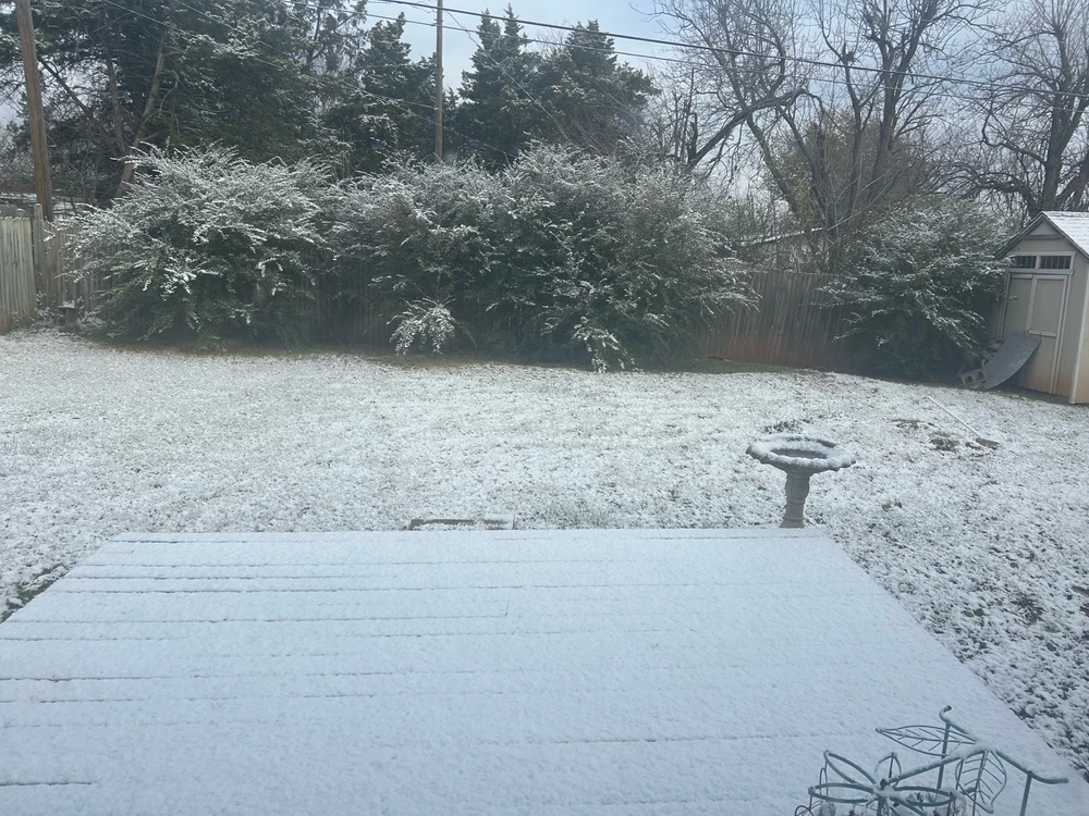 Image uploaded by Victoria