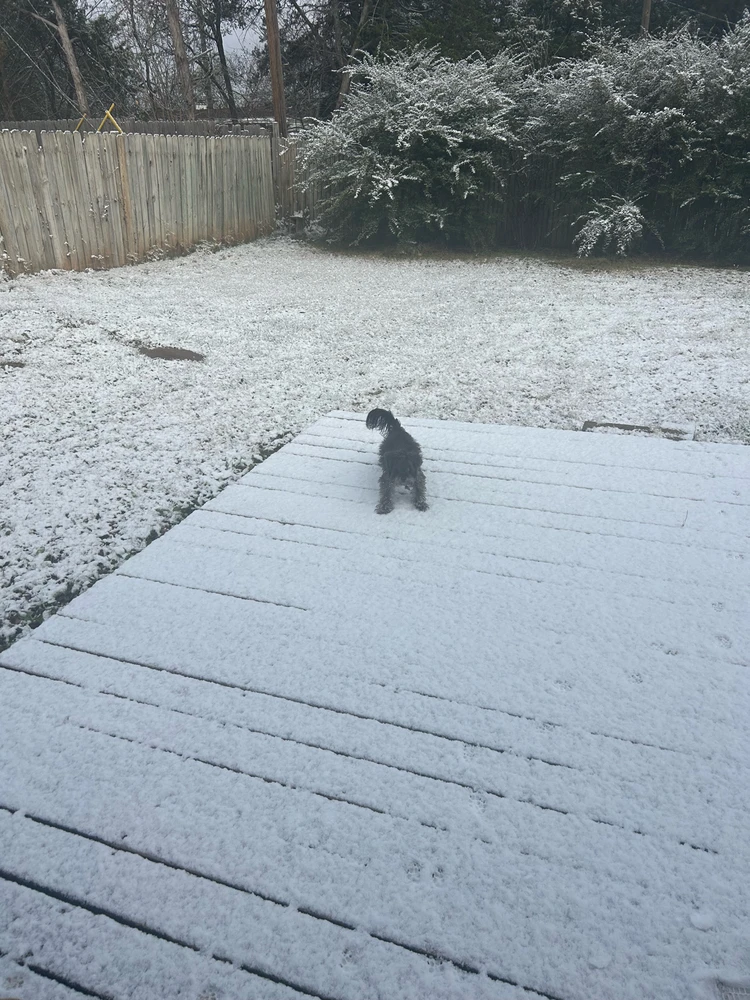 Image uploaded by Victoria