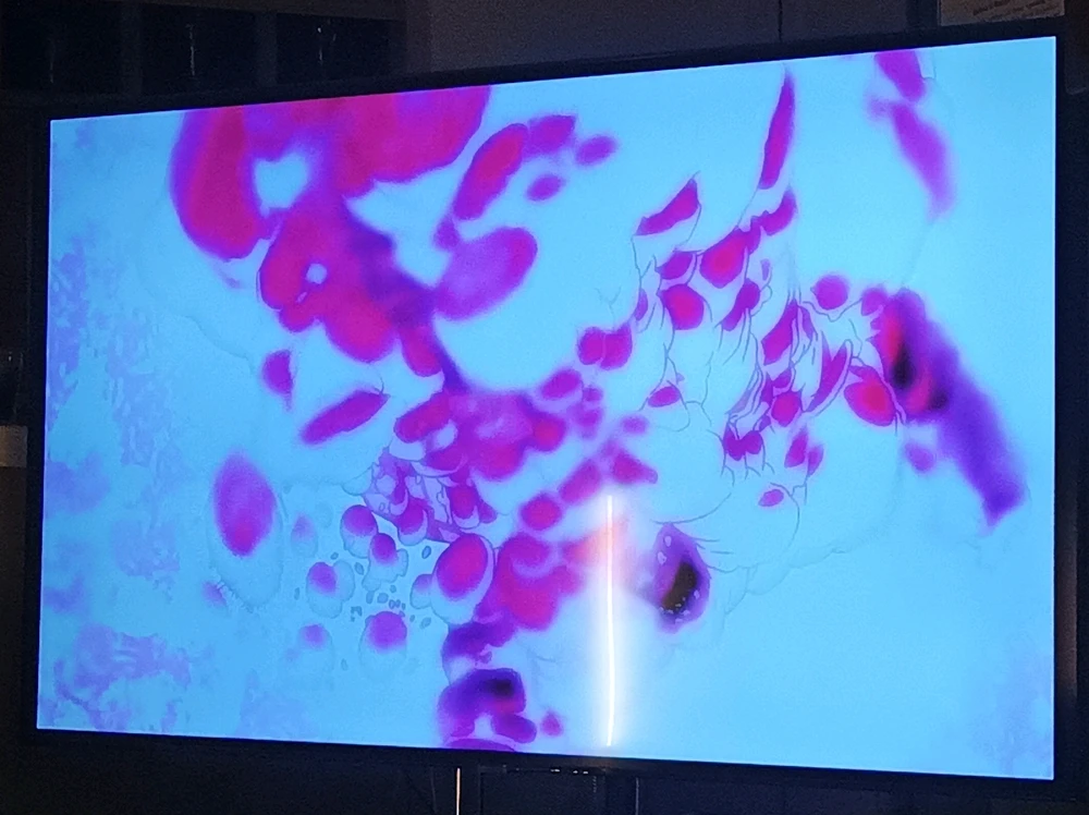 Image uploaded by Joshua