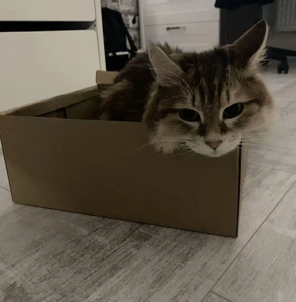 GIF uploaded by Sebastian