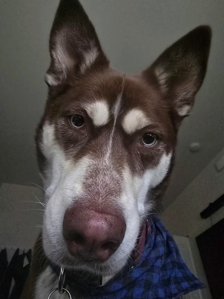 GIF uploaded by William