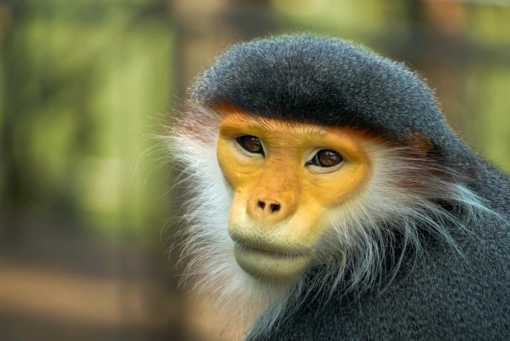 GIF uploaded by Hao Wen