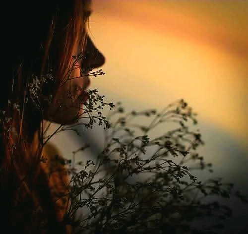 GIF ajouté par Gaël