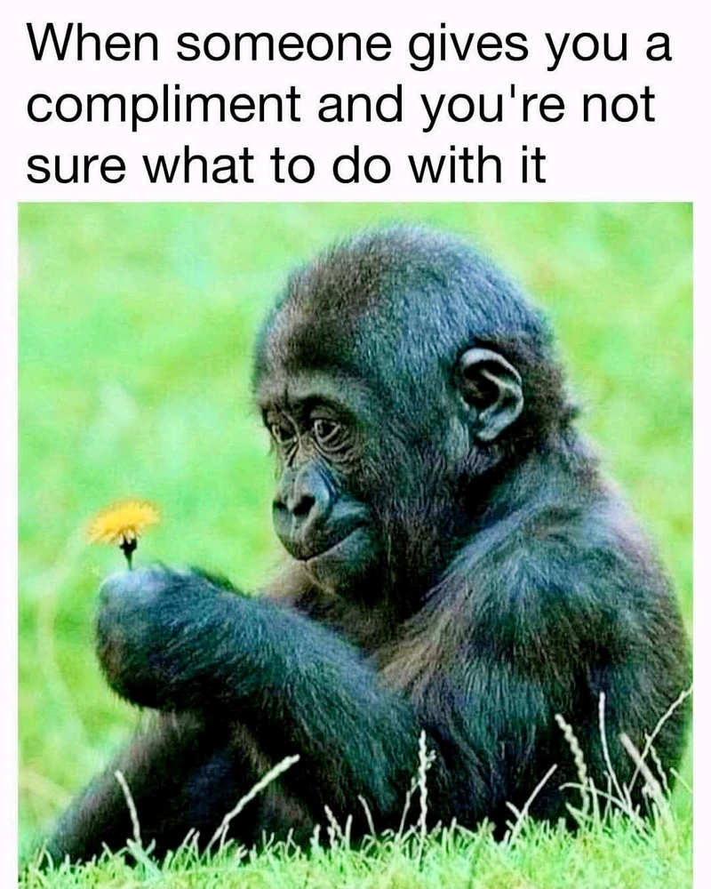 GIF uploaded by Stephanie