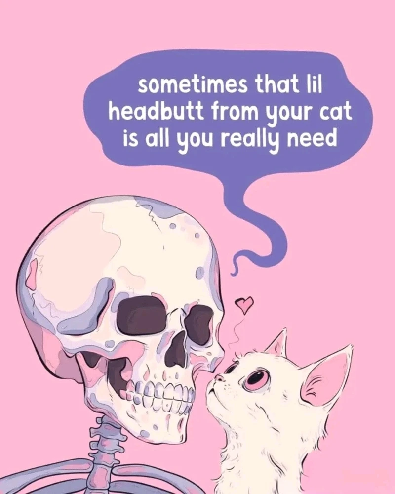 GIF uploaded by ❤ Sophia aka Mango Mami ❤️