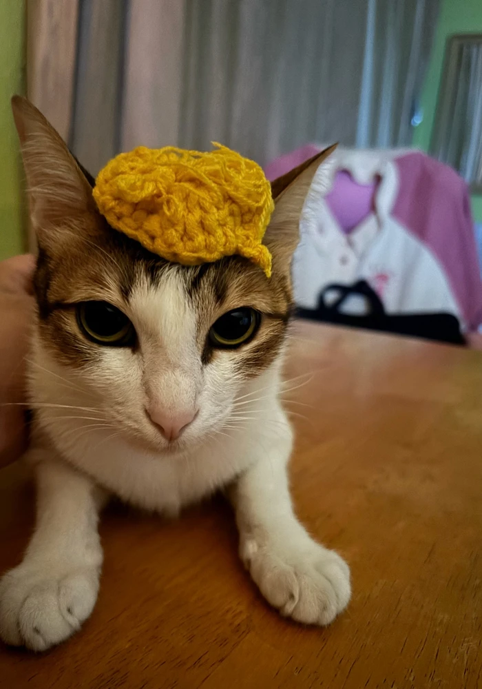 GIF uploaded by Pat♡