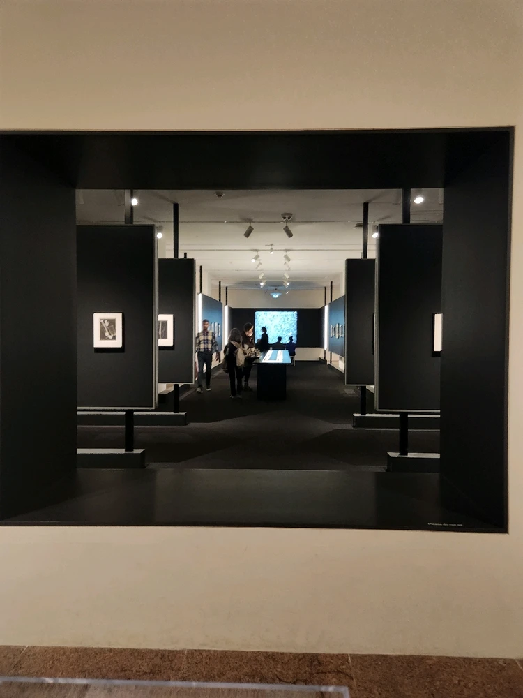 Image uploaded by Matthew