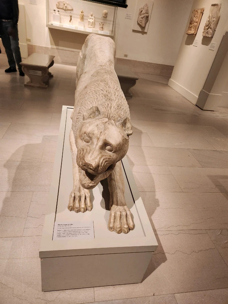 Image uploaded by Matthew