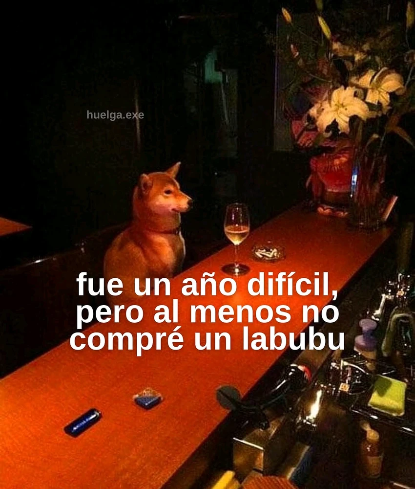 GIF subido por CONNER