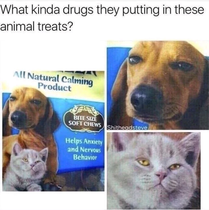 GIF uploaded by Sonny