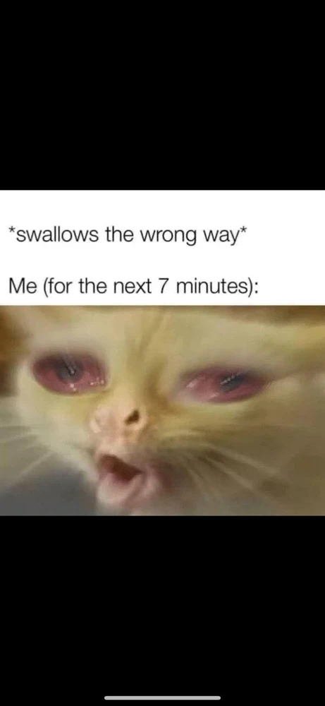 GIF uploaded by Noah