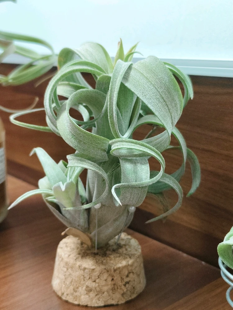 GIF uploaded by Vicky