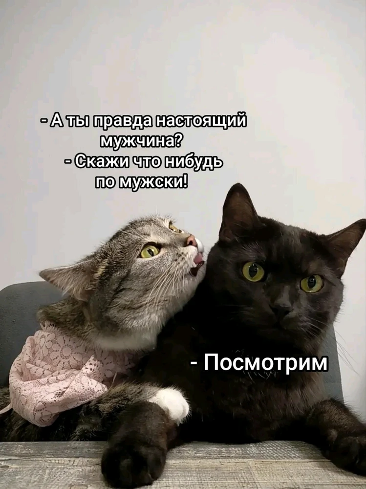 GIF загрузил Александр