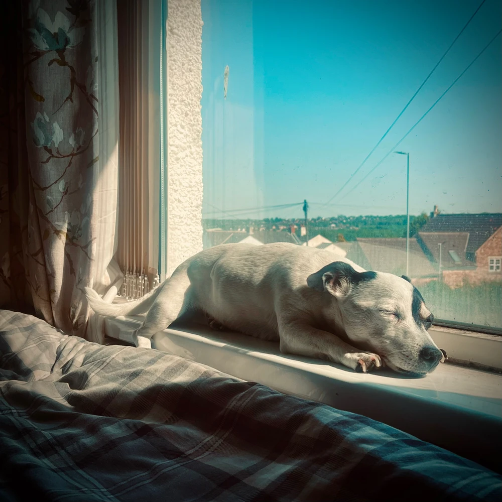 GIF uploaded by Stephen