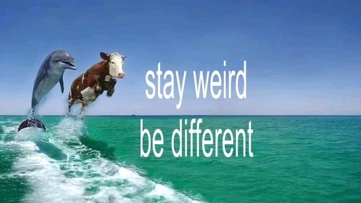 GIF postavljen od Ahmed