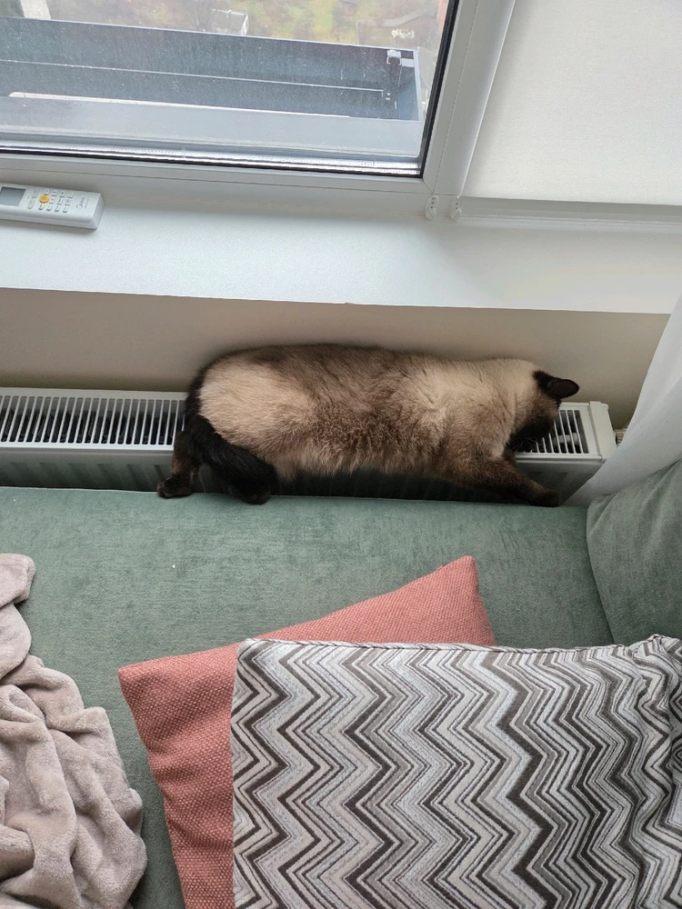 GIF uploaded by Svetlana