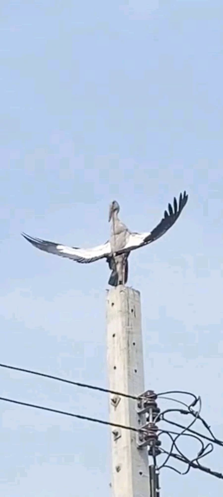 Imagen subida por Indira