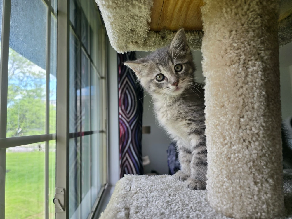 Image uploaded by Ashley