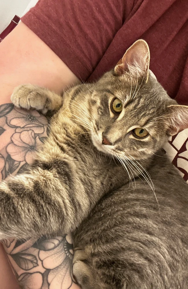 Image uploaded by Ashley