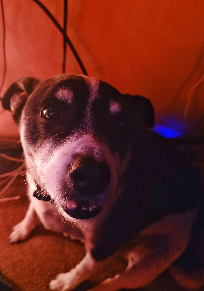 GIF uploaded by Derrick