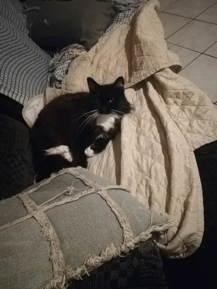 GIF ajouté par Damien