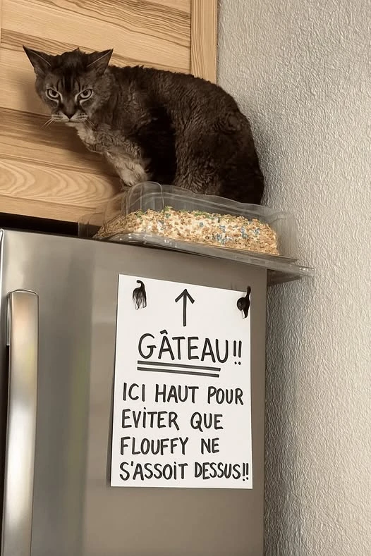 Image ajoutée par Neko🐾