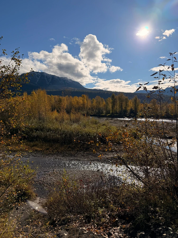 GIF uploaded by Spencer