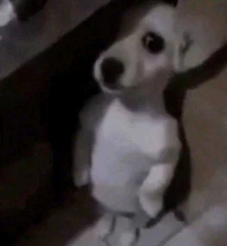 GIF uploaded by Brad Peres