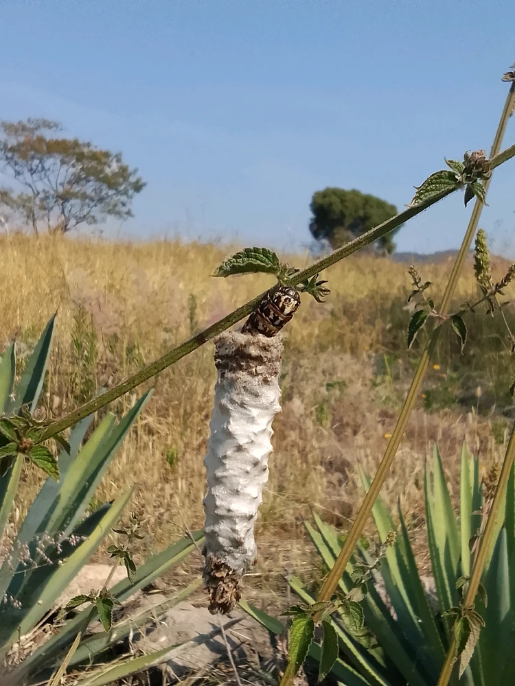 GIF uploaded by Juan M