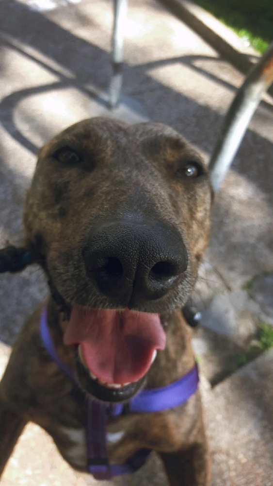 Image uploaded by Jarrod