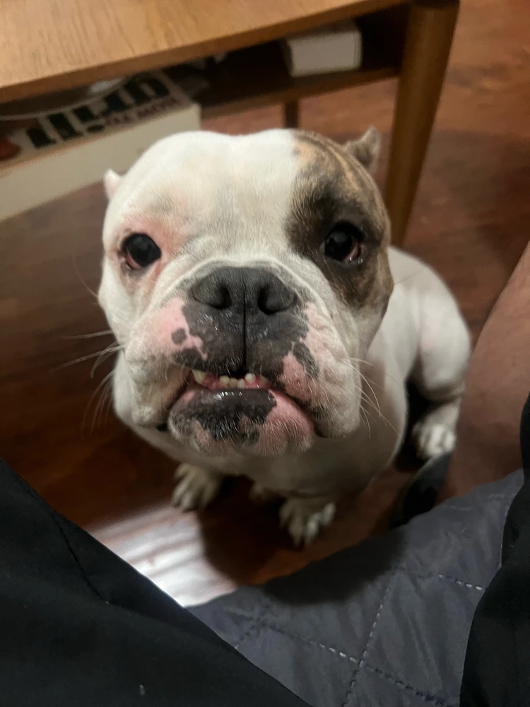 GIF uploaded by Matt