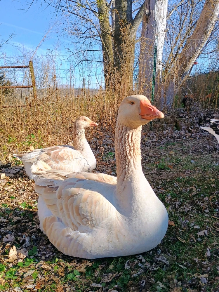 GIF uploaded by Leah