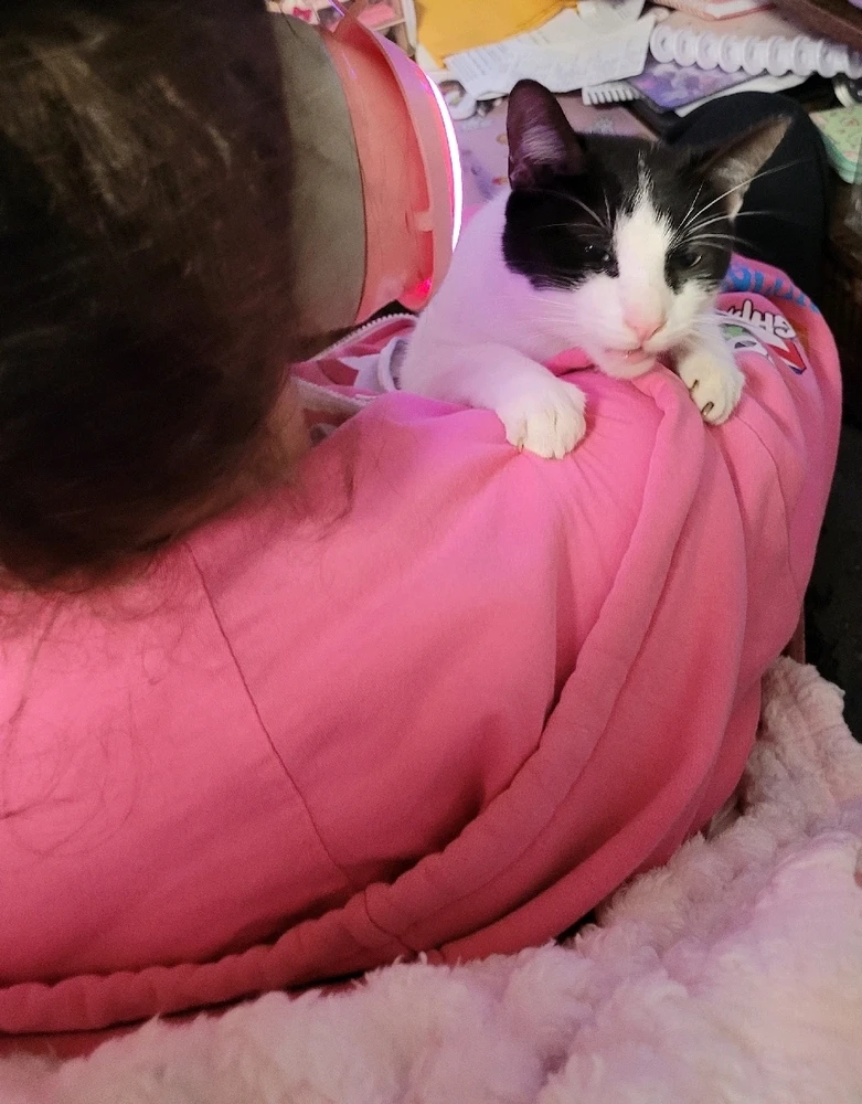 GIF diunggah dening Denae