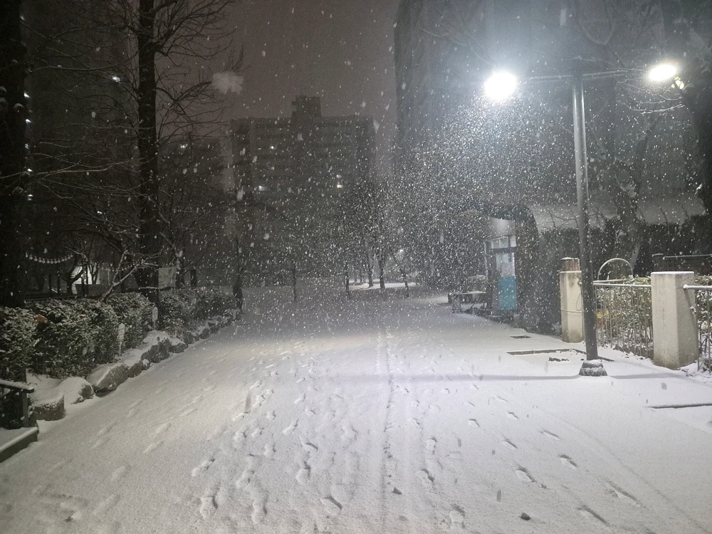 GYEONG YUN님이 올린 GIF