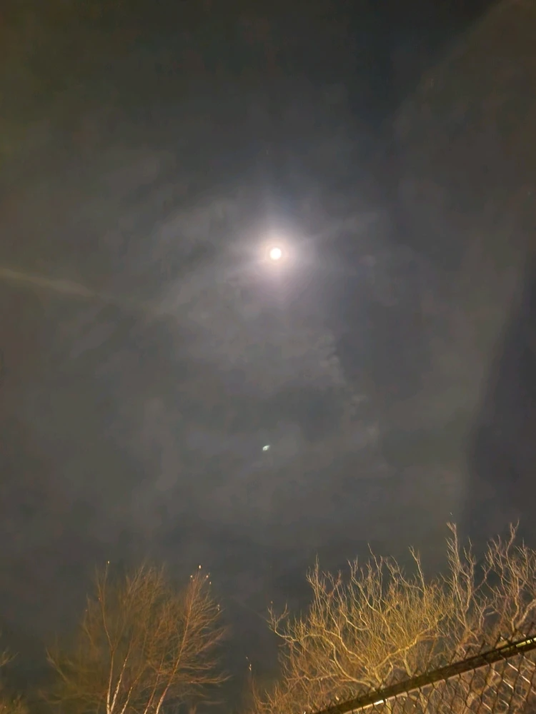 GIF uploaded by Matthew