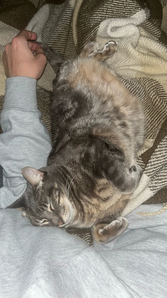 GIF uploaded by Duarte