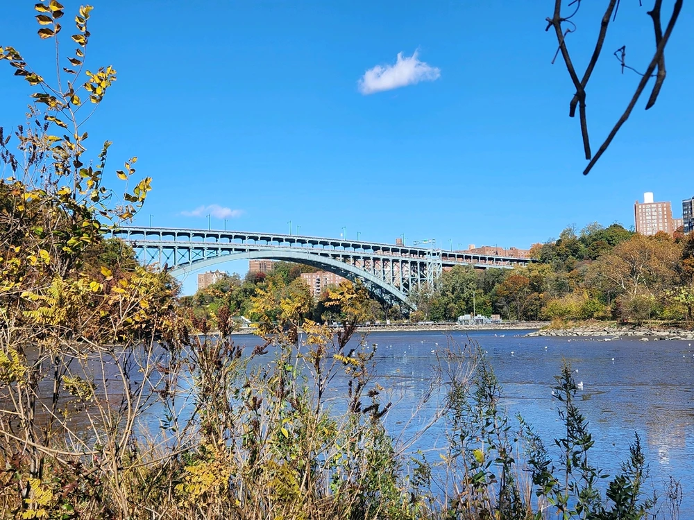 Image uploaded by Matthew