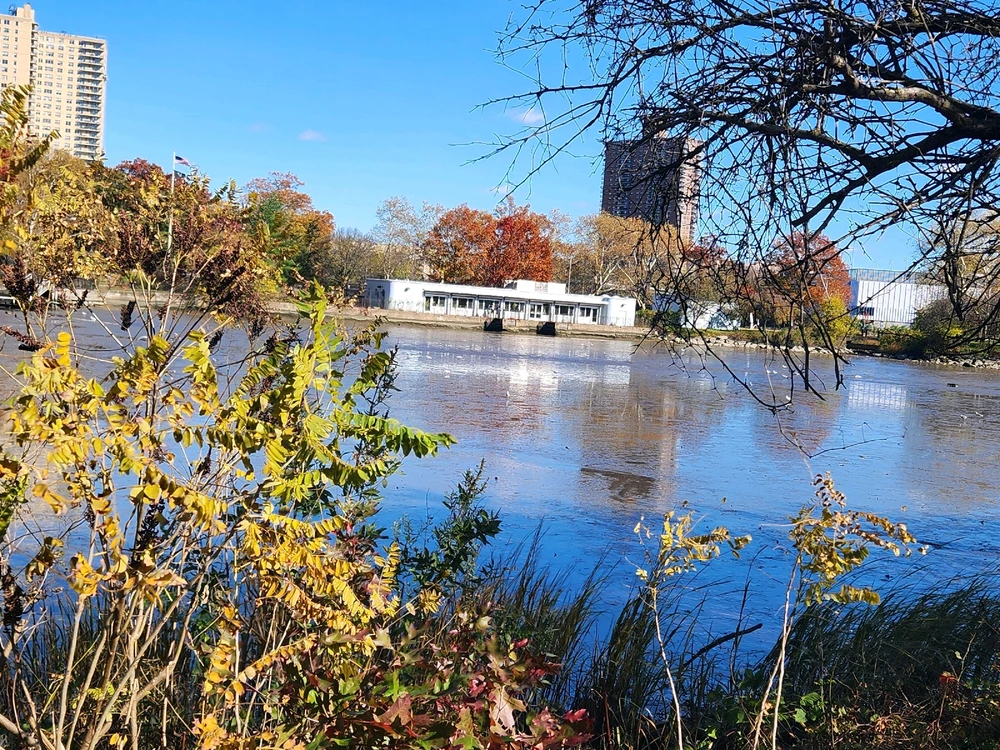 Image uploaded by Matthew