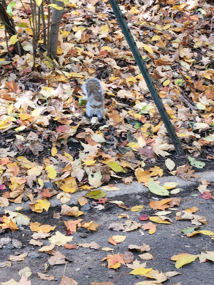 Image uploaded by Matthew