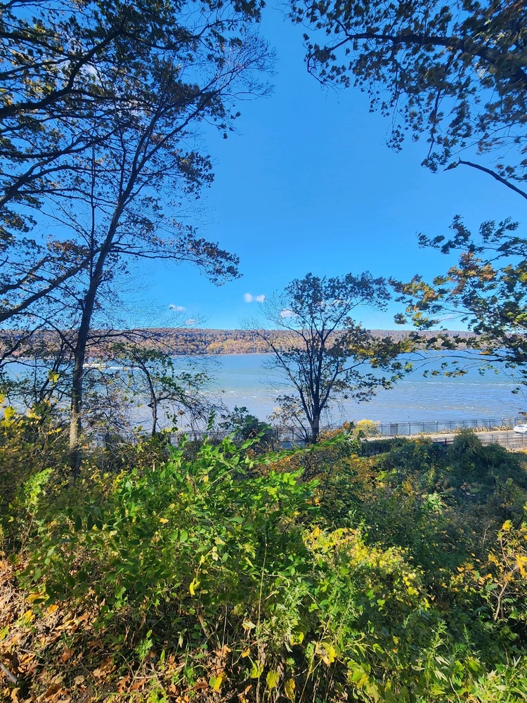 Image uploaded by Matthew