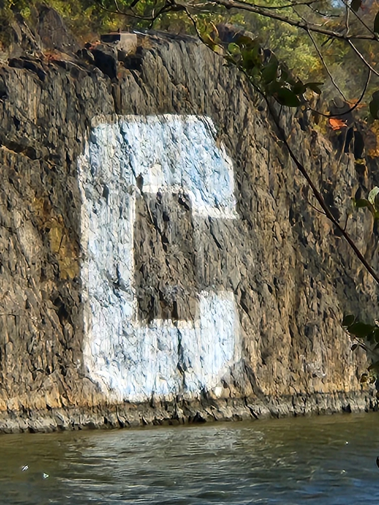 Image uploaded by Matthew